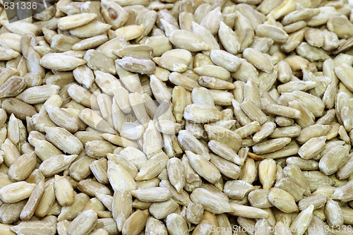 Image of Sunflower seeds