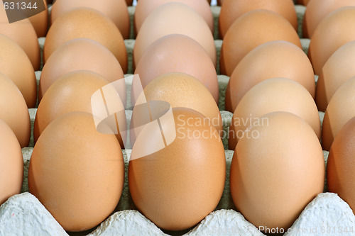 Image of Brown eggs
