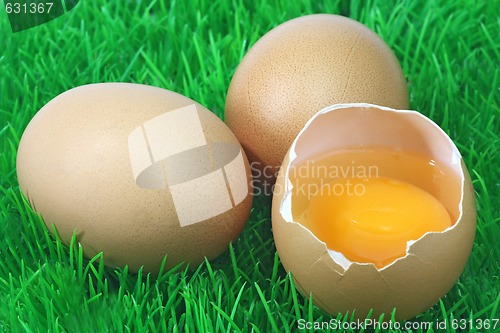 Image of Decorative brown eggs