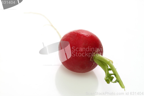 Image of Radish