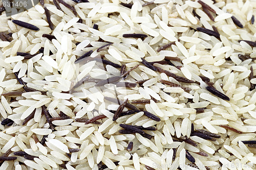 Image of Wild rice