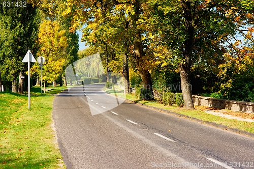 Image of Autumn Road