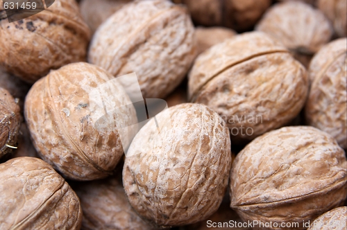 Image of Walnuts