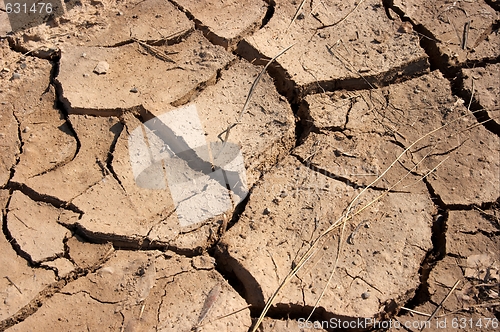 Image of Soil