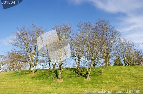 Image of Park