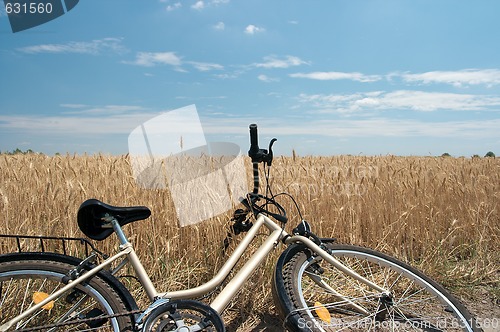 Image of Bicycle