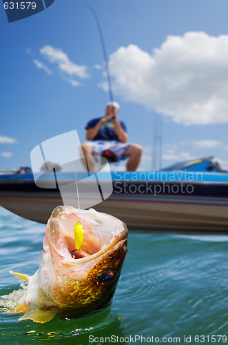 Image of Sport fishing
