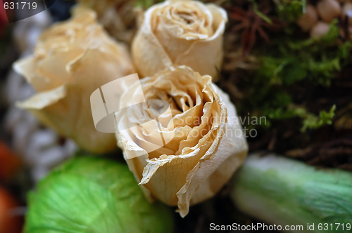 Image of Dried Yellow Roses