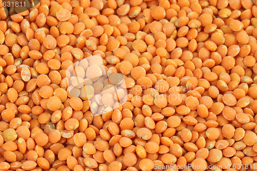 Image of Red Lentils