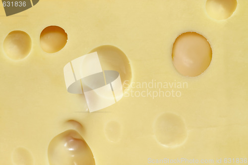 Image of Cheese