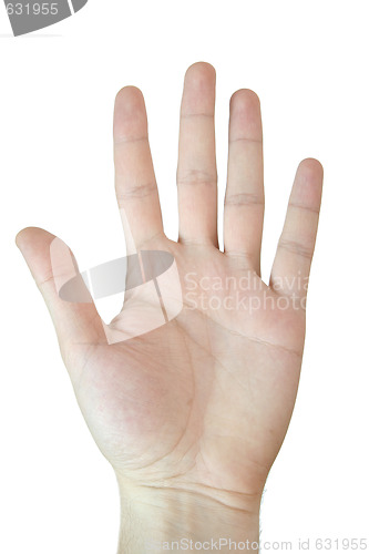 Image of Man hand.