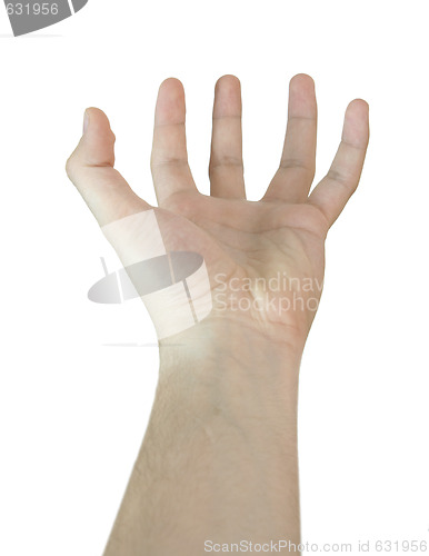 Image of Man hand.