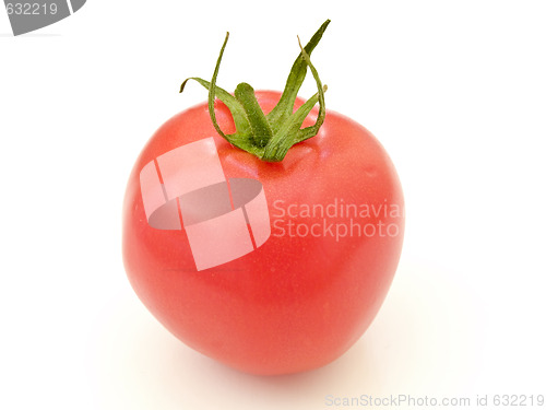 Image of Tomato