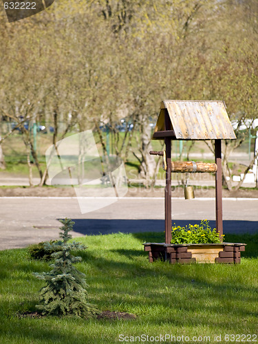 Image of Little pine and water well