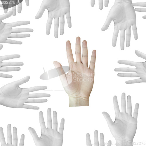 Image of Hands on white.