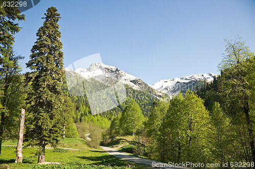 Image of Mountain road