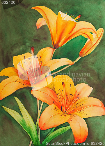 Image of Tiger Lilies