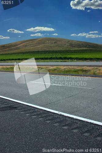 Image of Close up on a Countryside Farming Fields