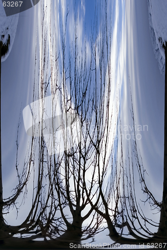 Image of Abstract Waterfall to Branches