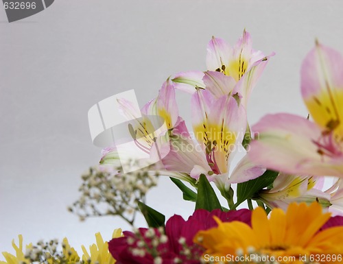 Image of cut flowers in a bouquet