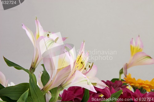 Image of cut flowers in a bouquet