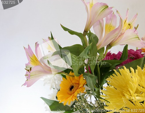 Image of cut flowers in a bouquet