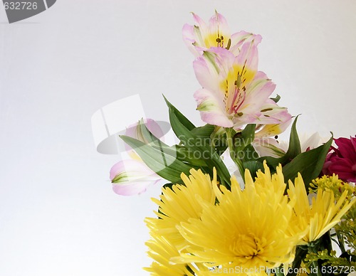 Image of cut flowers in a bouquet