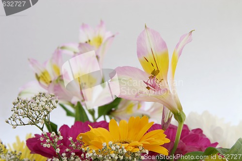 Image of cut flowers in a bouquet