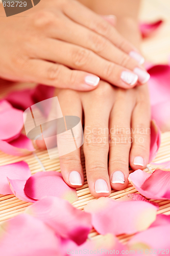 Image of hands with rose petals