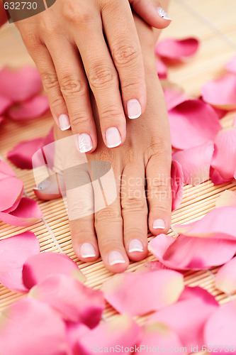 Image of hands with rose petals