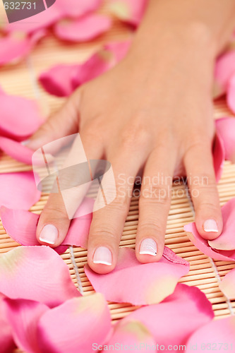 Image of hand with rose petals