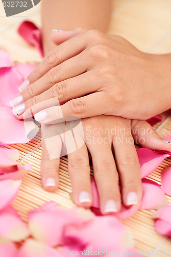 Image of hands with rose petals