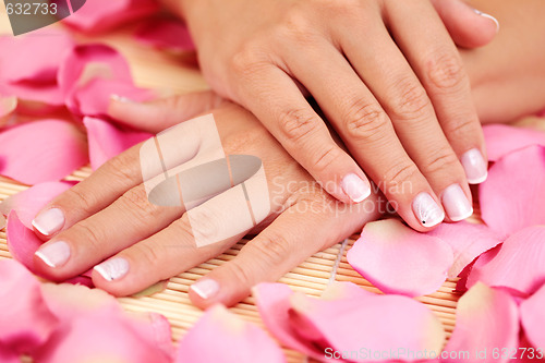 Image of hand with rose petals