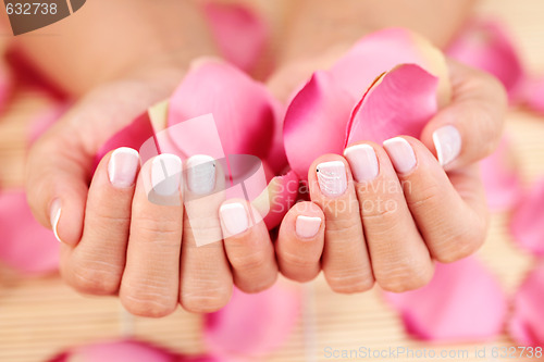 Image of hands with rose petals