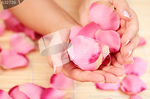 Image of hands with rose petals