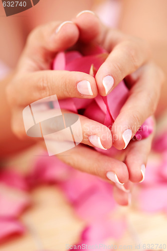 Image of hands with rose petals