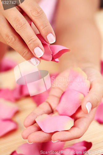 Image of hands with rose petals