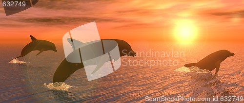Image of Dolphins at Sunset