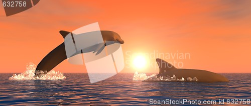 Image of Dolphins at Sunset