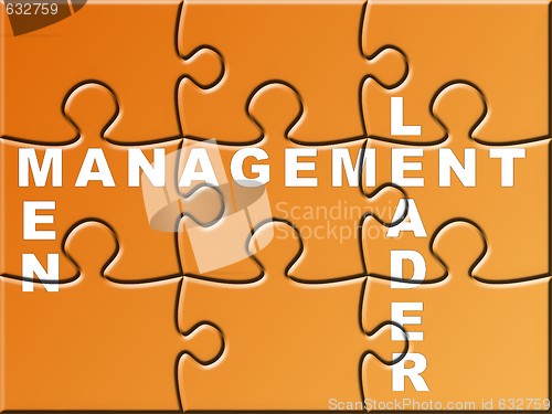 Image of Management Puzzle