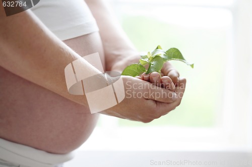 Image of Close-up of a woman’s bare pregnant belly.