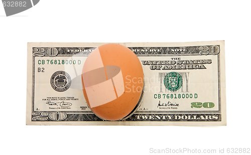 Image of Brown egg on twenty dollar bill isolated