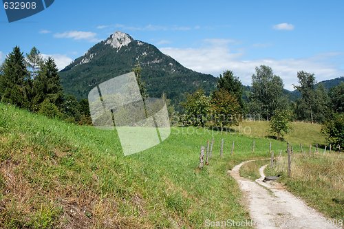 Image of Road among meadows under the mountain in Austrian Alps