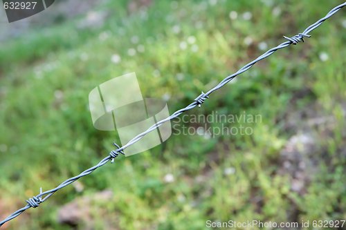 Image of Single strand of barbed wire 