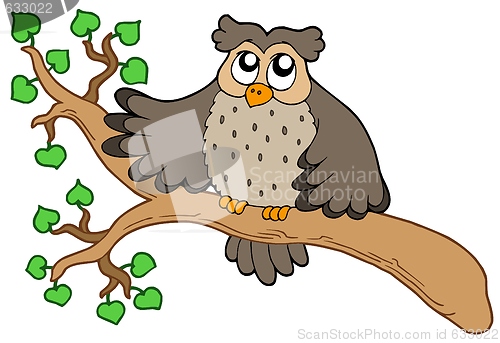 Image of Owl on branch