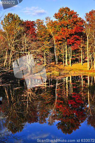 Image of Fall forest reflections