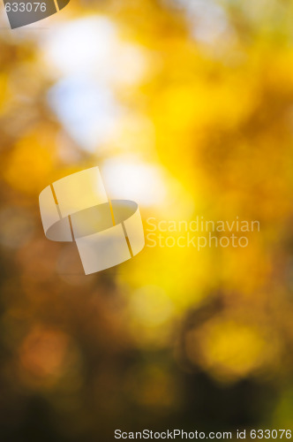 Image of Fall background