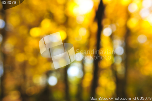 Image of Fall background