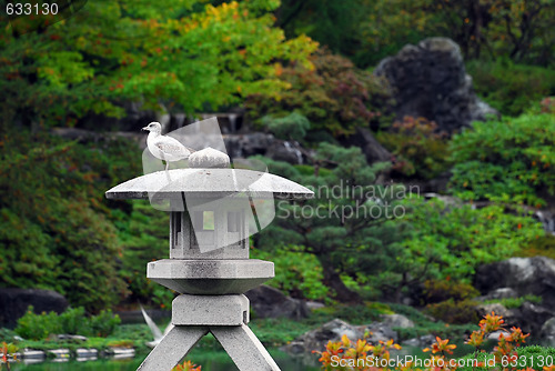 Image of Japanese Garden