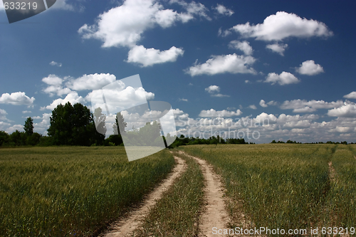 Image of Country road in the wheaten field